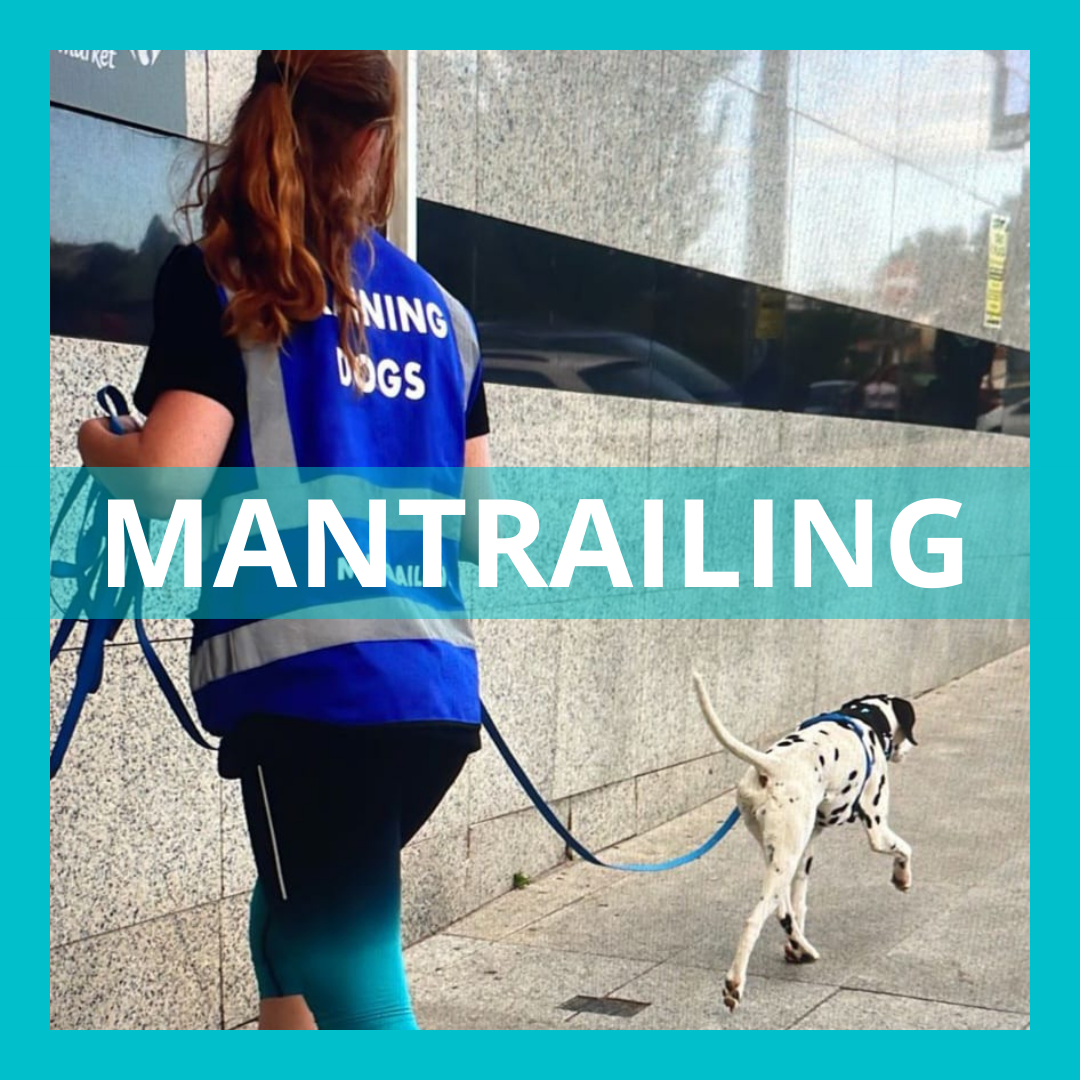 MANTRAILING