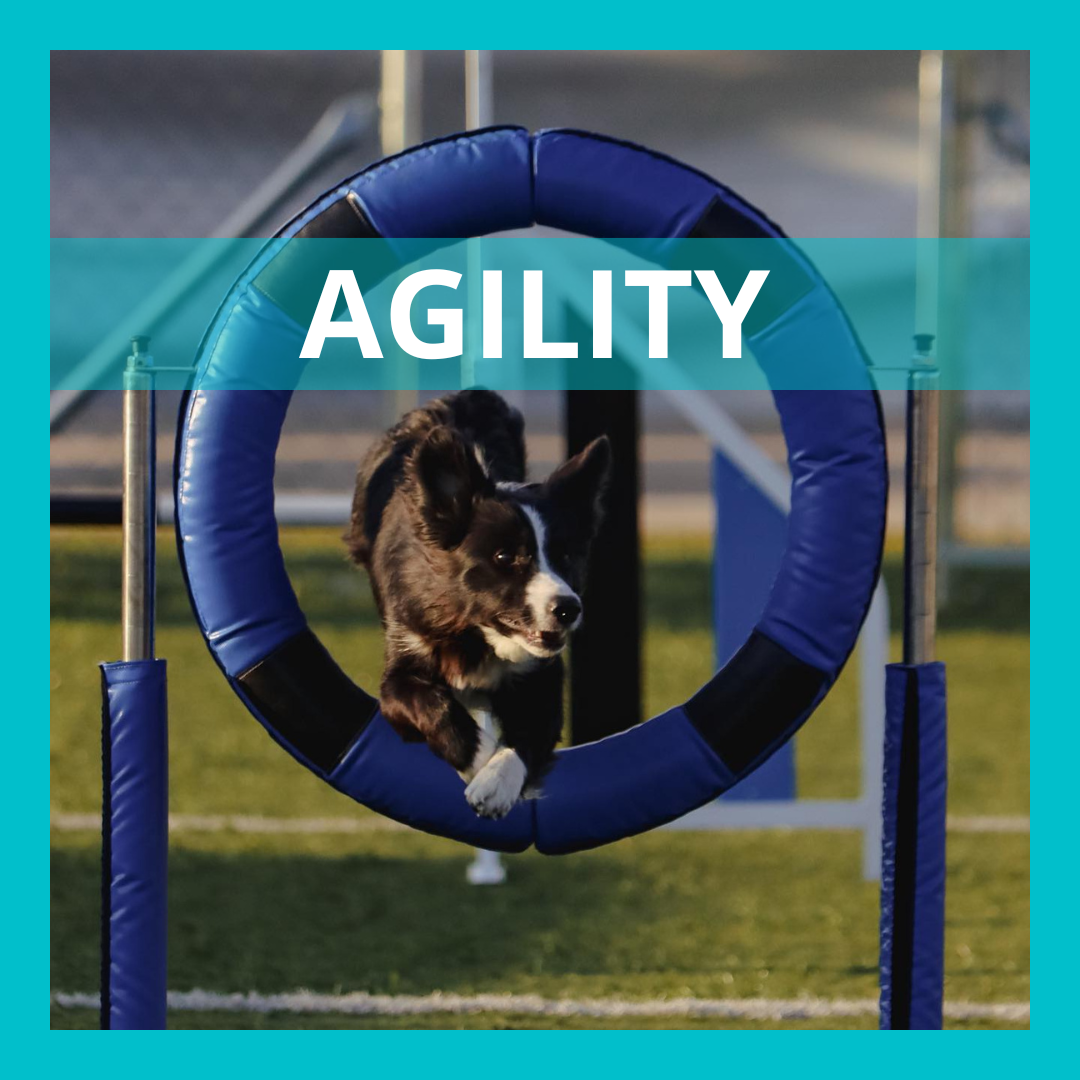 AGILITY
