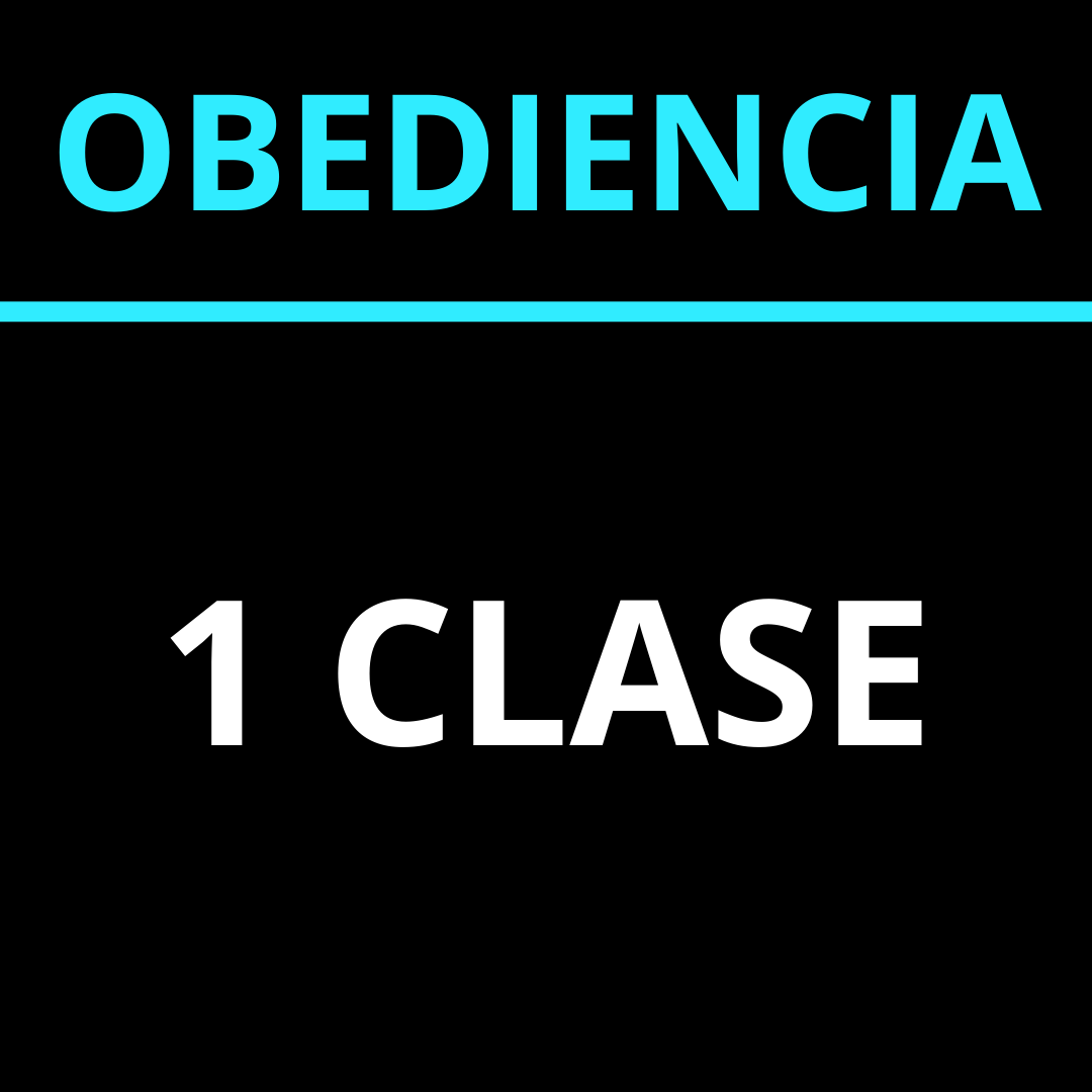 OBEDIENCIA